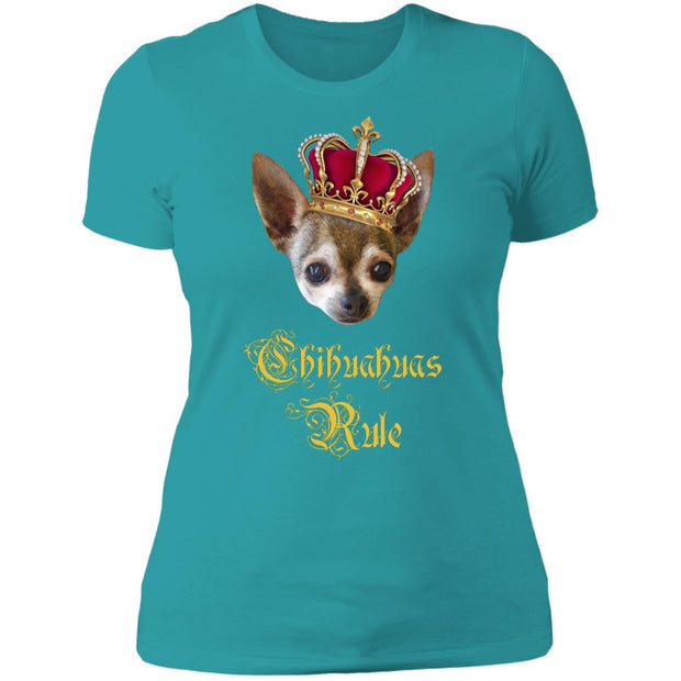 Chihuahuas Rule!